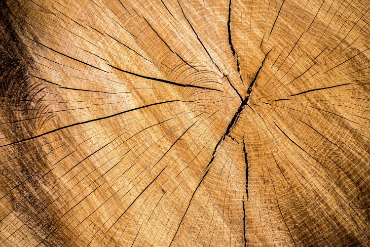 isolamento fibra di legno